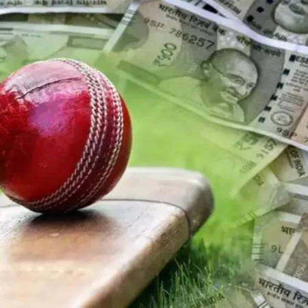 World Cup 2024: What Indian Bettors Need to Know About Betting Laws